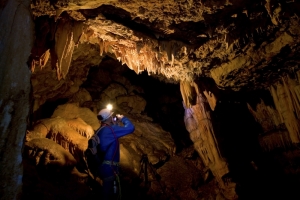 Cueva de los Órganos