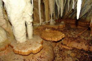 Cueva de los Órganos