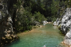Cañón de Río Verde Integral