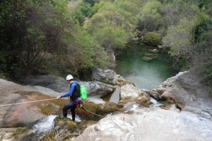 Rio Grande Zarzalones