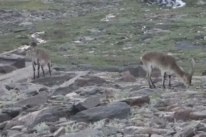 Subida a la Alcazaba y Mulhacén pernoctando entre rutas