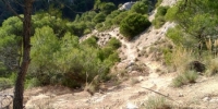 Hoz de Marín
