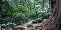 Jardín Botánico La Concepción